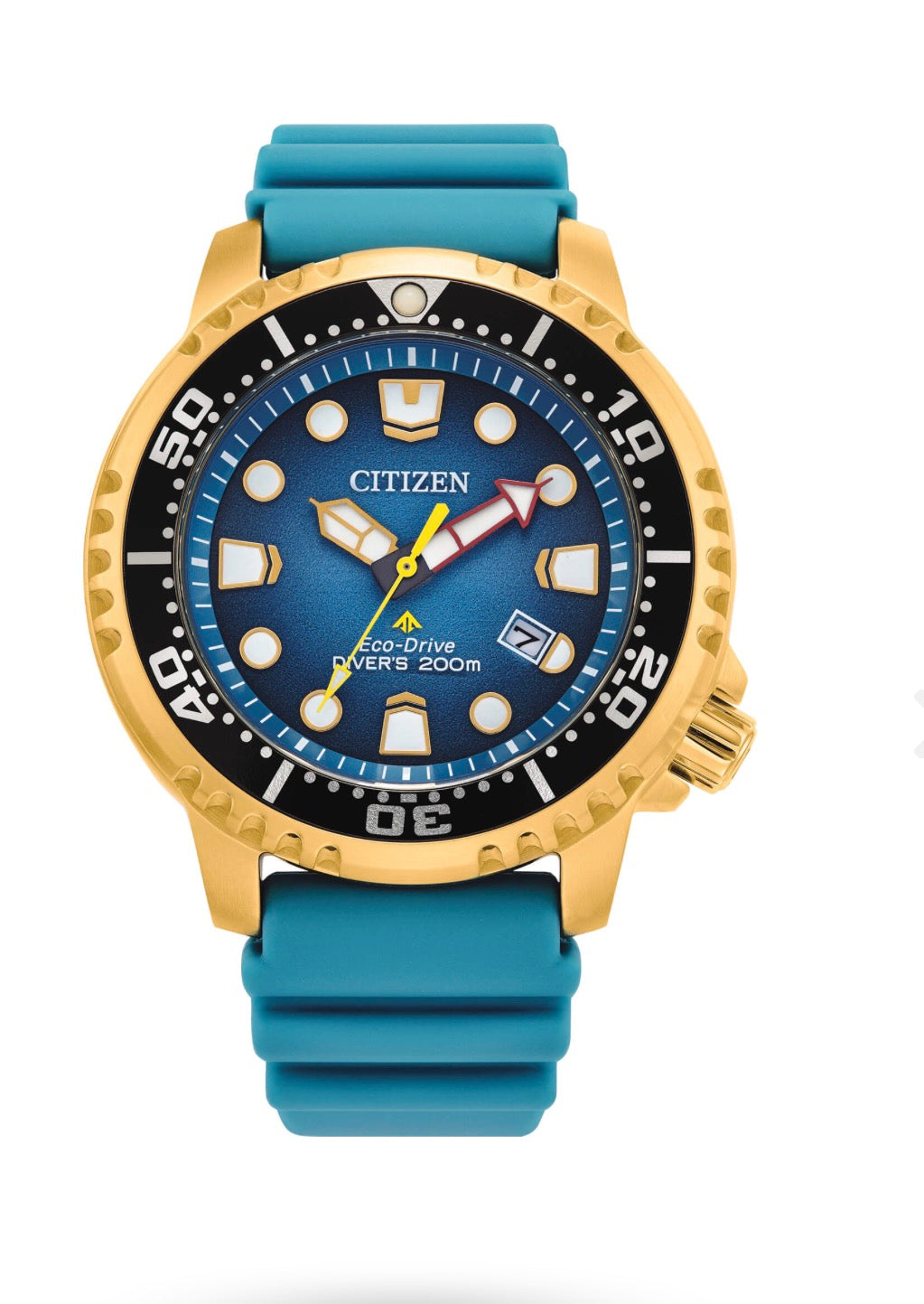 Collezione Promaster
Diver's Eco Drive 200 mt